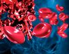 Prediktory rizika anémie a setrvalé virologické odpovědi při léčbě chronické hepatitidy C