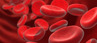 Terapie chronické hepatitidy C interferonem alfa-2b u pacientů s thalasemií major