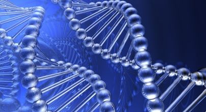 Rozmanitost sekvencí aminokyselin v HCV E2 proteinu v PBMC a v séru