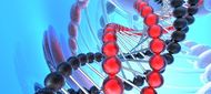 Genový profil a charakteristika s virovou hepatitidou asociovaného hepatocelulárního karcinomu