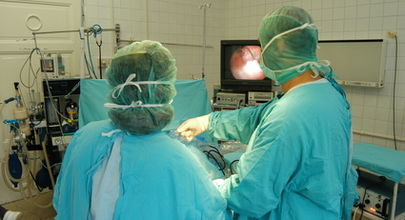 Hodnocení jaterní fibrózy pomocí endoskopické ultrasonografie