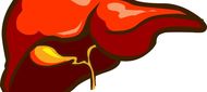 Úspěšná léčba chronické hepatitidy C může pacienty ochránit před rozvojem hepatocelulárního karcinomu