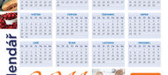 Dárek pro vás: Kalendář na rok 2011