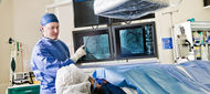 Výsledky screeningu hepatitidy C u rizikové skupiny pacientů po kardiální operaci