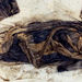 Korejská mumie odhalila prastarý virus hepatitidy B