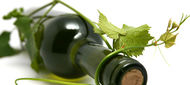 Virus hepatitidy C ve spojení s alkoholem mění prezentaci antigenu jaterními buňkami