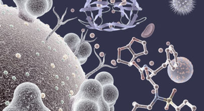 Terapeutická trojkombinace BI201335, BI207127 a RBV u dosud neléčených pacientů s HCV genotypu 1 – výsledky studie SOUND-C2