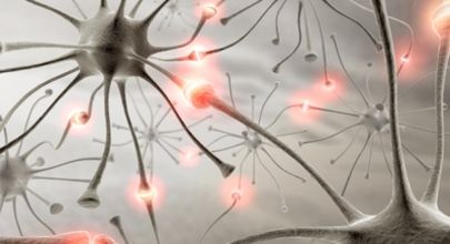 Aktivace imunitního systému mozku při hepatitidě C souvisí s postižením kognitivních funkcí nemocných