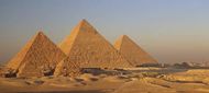 Žloutenka typu A je v Česku na ústupu, vozíme si ji z Egypta