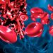 Prediktory rizika anémie a setrvalé virologické odpovědi při léčbě chronické hepatitidy C