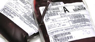 Pečlivý výběr dárce krve minimalizuje riziko nákazy nejen žloutenkou