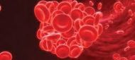 Infekce virem hepatitidy C je spojena se zvýšeným rizikem hluboké žilní trombózy