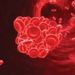 Infekce virem hepatitidy C je spojena se zvýšeným rizikem hluboké žilní trombózy