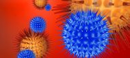Virus žloutenky se příliš nemění – na rozdíl od chřipky