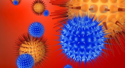Virus žloutenky se příliš nemění – na rozdíl od chřipky