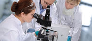 Může steatóza a steatohepatitida ovlivnit dosažení setrvalé virologické odpovědi?