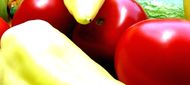 Antioxidanty v léčbě hepatitidy C