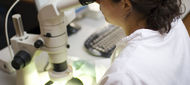 Mám žloutenku? Jistotou je laboratorní vyšetření