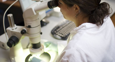 Mám žloutenku? Jistotou je laboratorní vyšetření